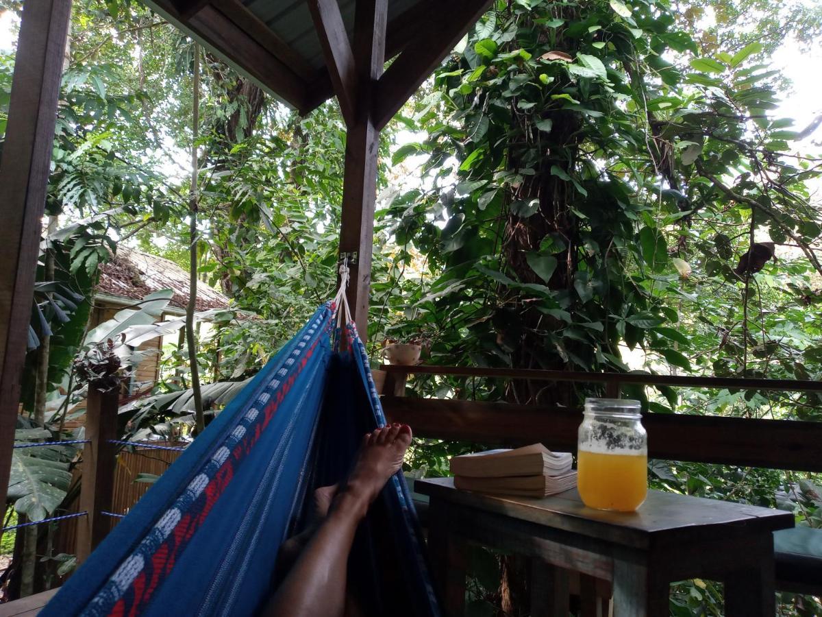 Jungle Paunch Villa Bocas del Toro Exteriör bild