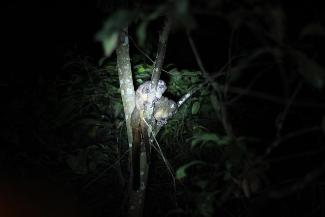 Jungle Paunch Villa Bocas del Toro Exteriör bild