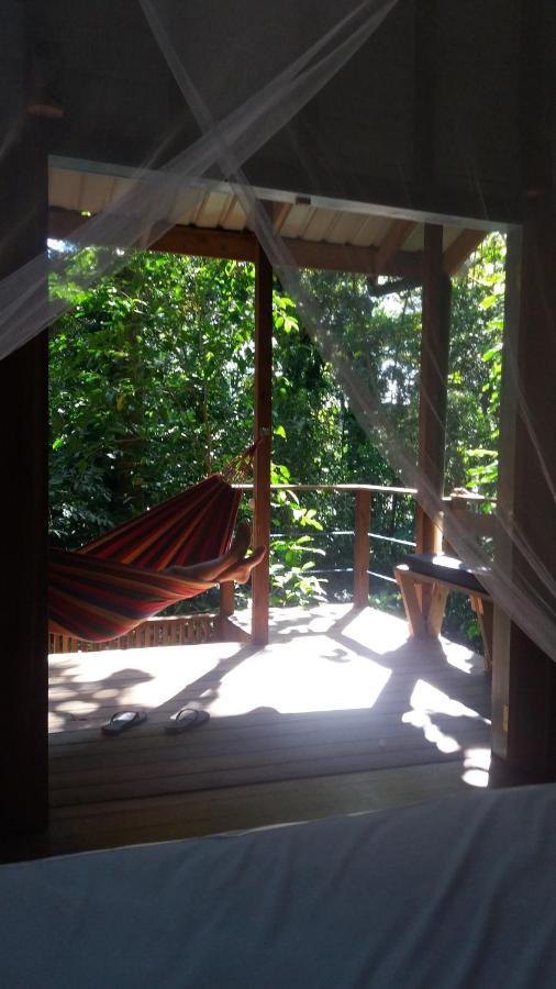 Jungle Paunch Villa Bocas del Toro Exteriör bild