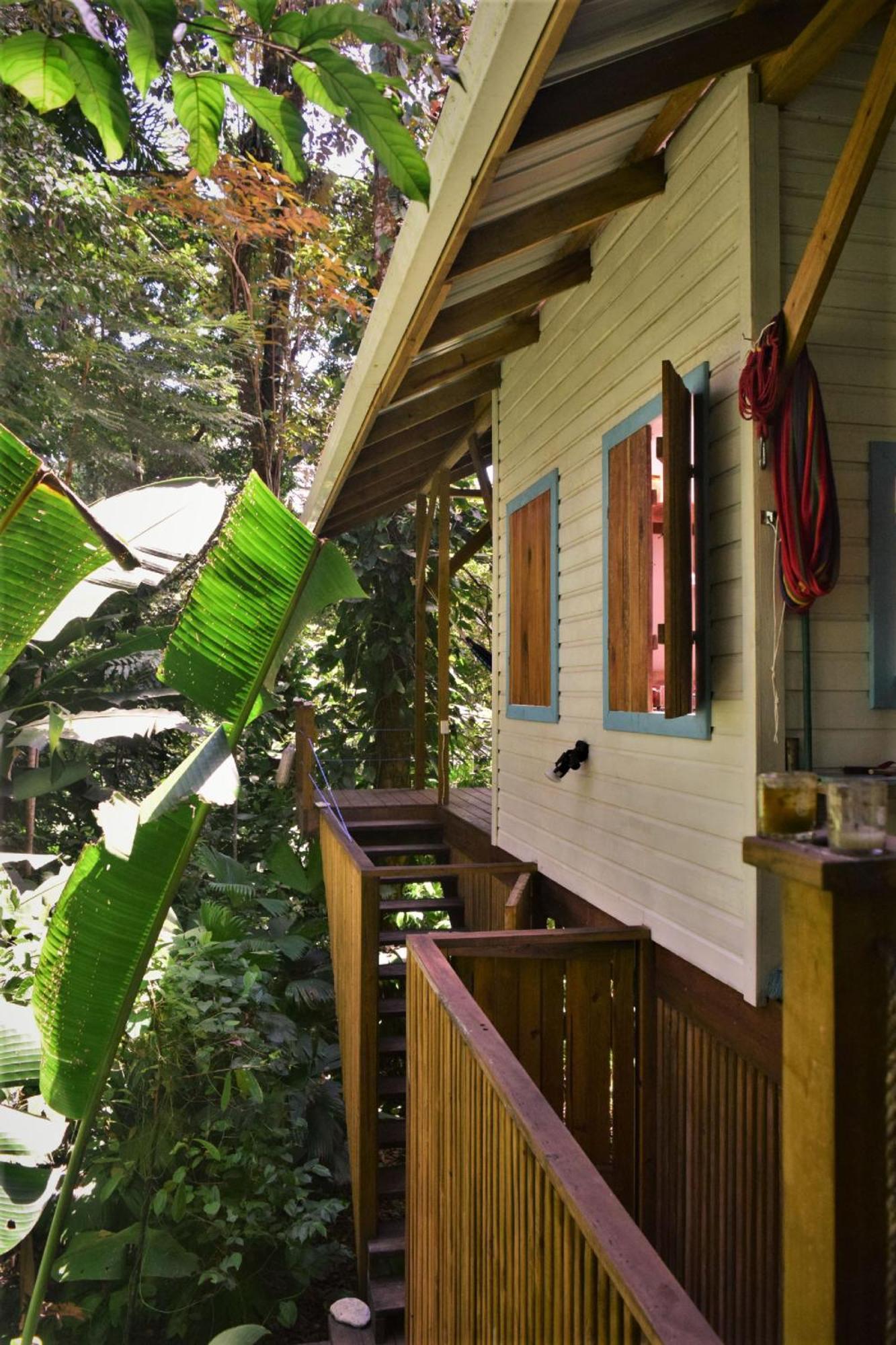 Jungle Paunch Villa Bocas del Toro Exteriör bild