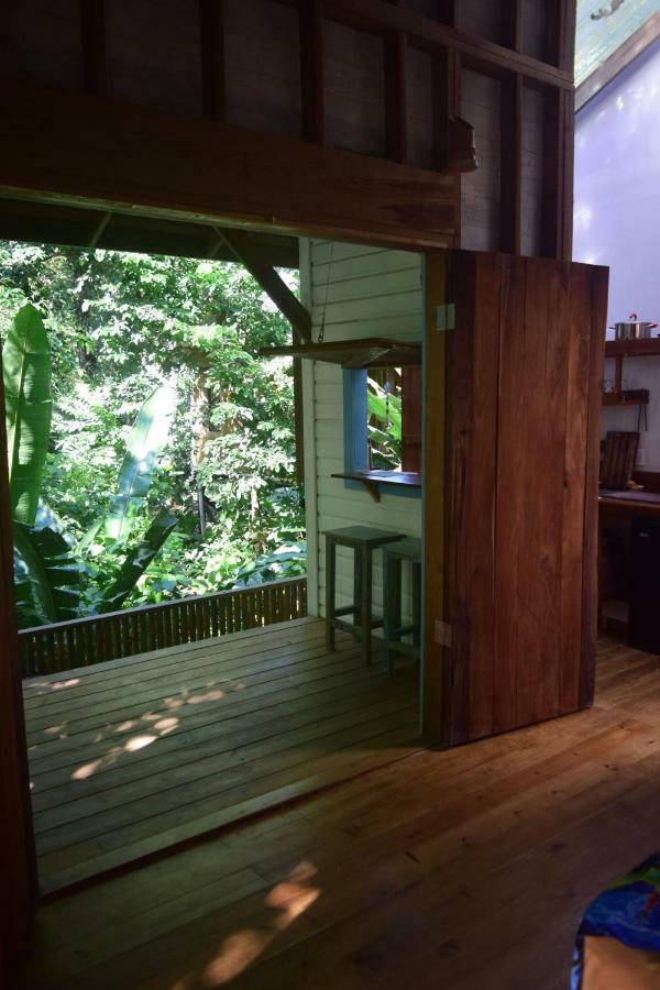 Jungle Paunch Villa Bocas del Toro Exteriör bild